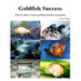 Goldfish Success: What it takes to keep goldfish healthy long-term