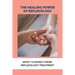 The Healing Power Of Reflexology: What To Expect From Reflexology Treatment: Basics Of Reflexology