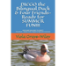DIEGO the Bilingual Duck & Four Friends- Ready for SUMMER FUN!!!: BUILDING READING FLUENCY- Preschool - Grade 2 ( for English & Spanish learners)