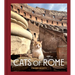 Cats of Rome