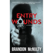 Entry Wounds: A Supernatural Thriller