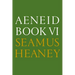 Aeneid Book VI: A New Verse Translation: Bilingual Edition