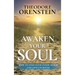 Awaken Your Soul: How to Find Your Inner Spirit and Life's Purpose: How to Find Your Inner Spirit and Life's Purpose e