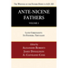 Ante-Nicene Fathers: Translations of the Writings of the Fathers Down to A.D. 325, Volume 3