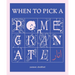 When to Pick a Pomegranate