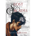 The Lost Son of Orcades, Part 1: The Illyds of Prydain's Heroes