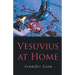 Vesuvius at Home
