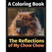 The Reflections of My Chow Chow: A Coloring Book