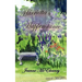 Harrietta's Happenstance