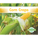 Corn Crops