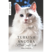 Turkish Angora: Cat Breed Complete Guide