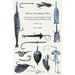 How to Tie Salmon Flies - A Treatise on the Methods of Tying the Various Kinds of Salmon Flies - With Illustrated Directions and Containing the Dressi