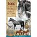Joe -- the Horse Nobody Loved