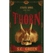 Thorn: a dark steampunk fantasy