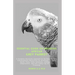 Essential Guide on Breeding African Grey Parrot: A Complete Discovery Approach on the Smartest Most Conversational Parrot Ever for all Homes: includin